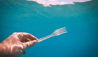 Is plastic affecting the ocean as a carbon sink?